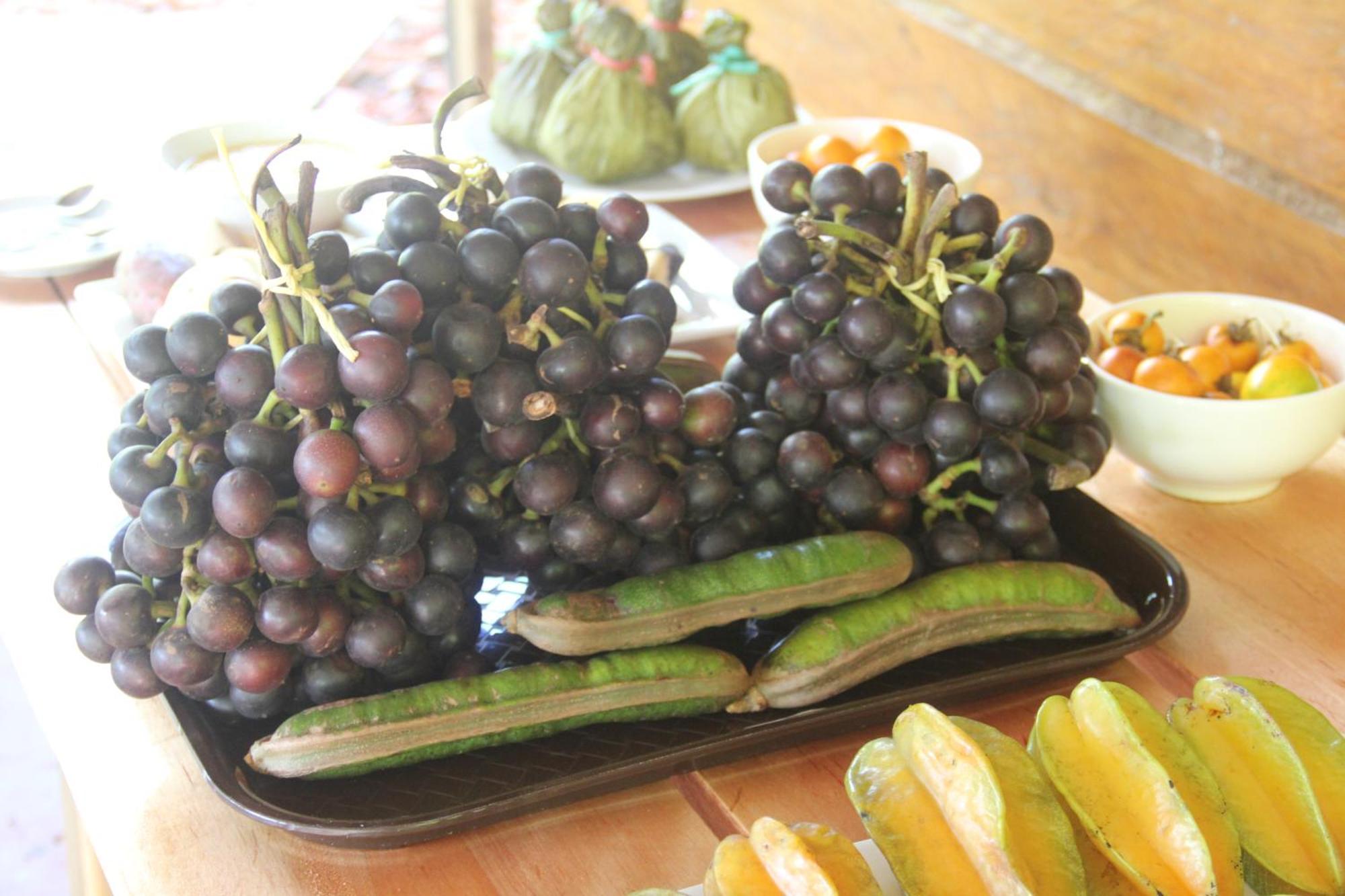 Purachata Ecolodge 伊基托斯 外观 照片