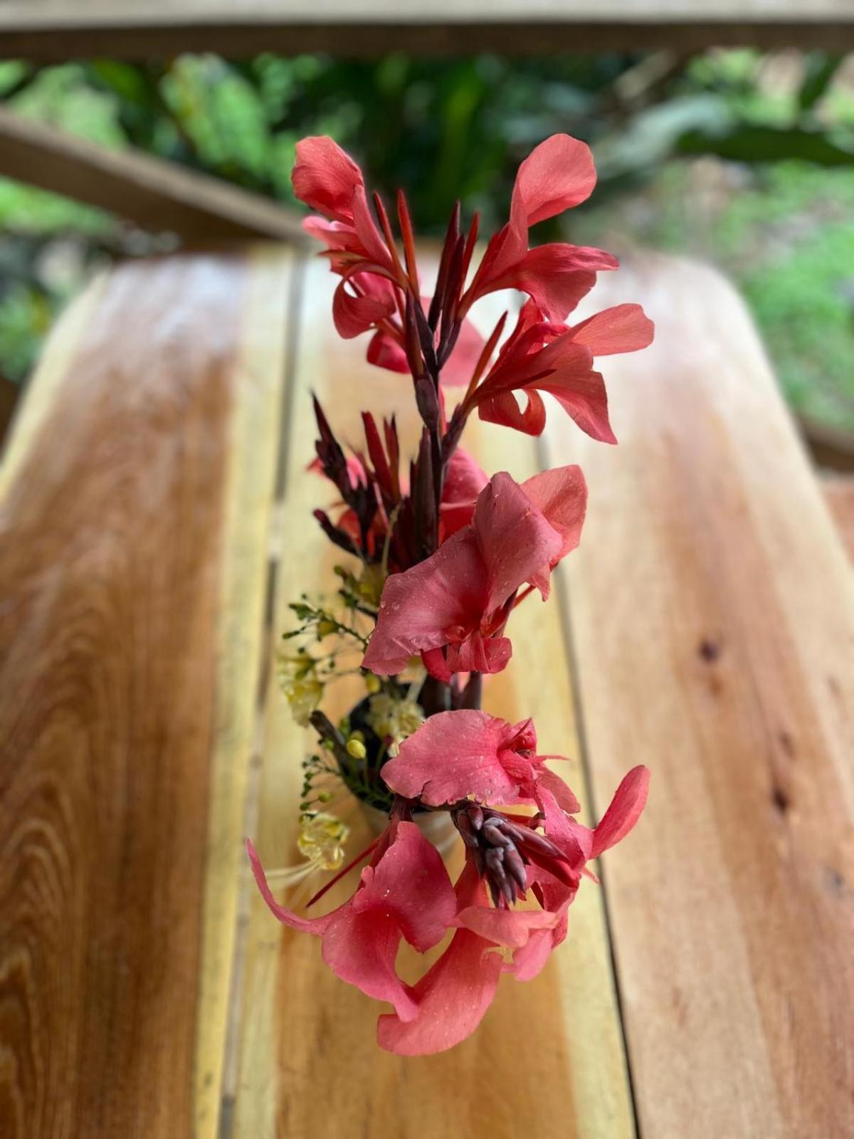 Purachata Ecolodge 伊基托斯 外观 照片