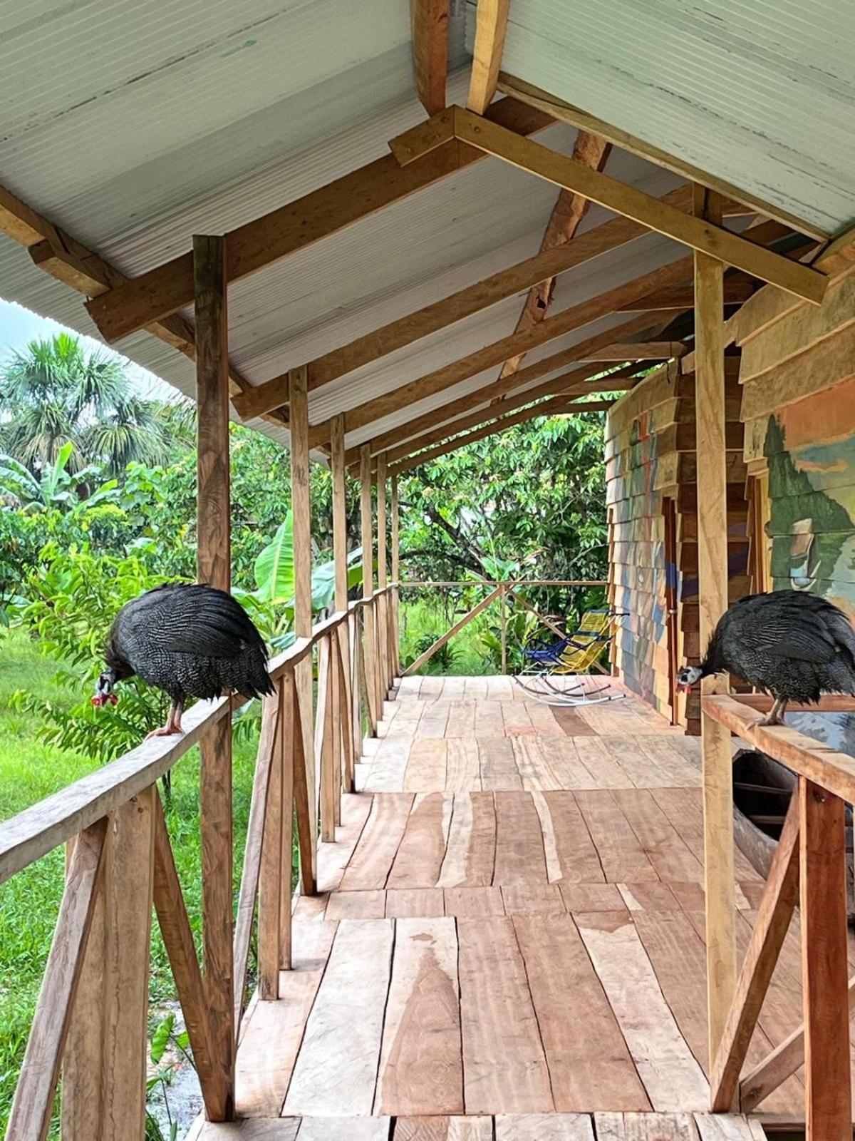 Purachata Ecolodge 伊基托斯 外观 照片