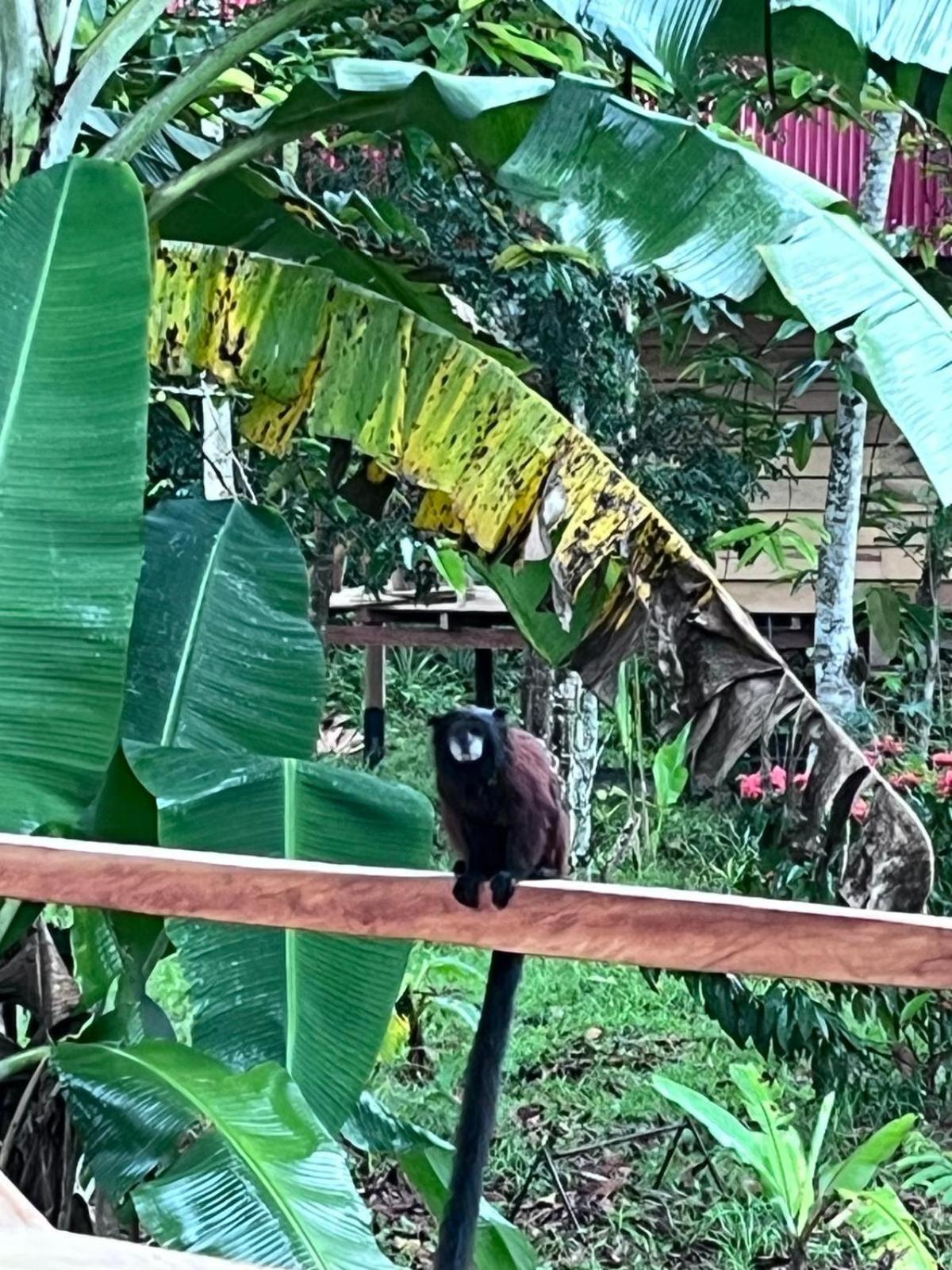 Purachata Ecolodge 伊基托斯 外观 照片